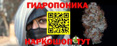 мдпв Янаул