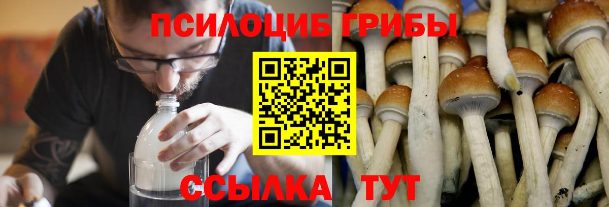 Тольятти  Псилоцибиновые грибы Magic Shrooms  Вход с VPN 